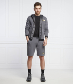 Худи EA7 - серый(3LPM26 PJFAZ)