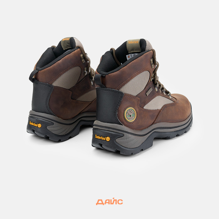 Ботинки Timberland Chocorua Trail Mid WP артикул:TB0151302101 - купить в магазине Дайс