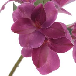 GAEM Цветок искусственный "Альстромерия", L12 W12 H62 см