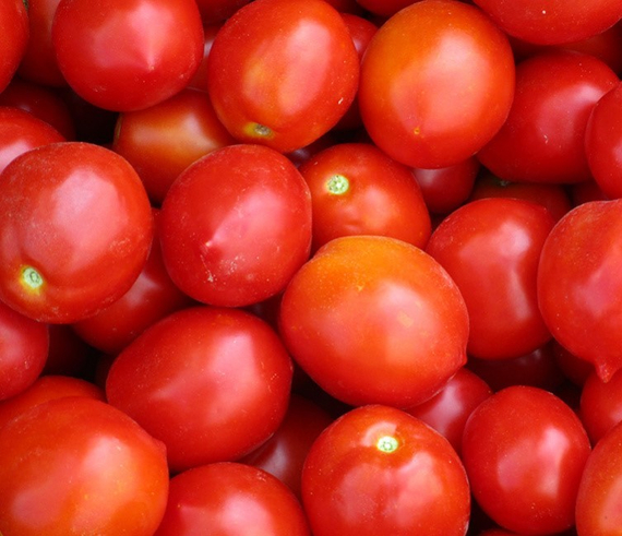 Роксет семена томата детерминантного (Гавриш) – фото 2