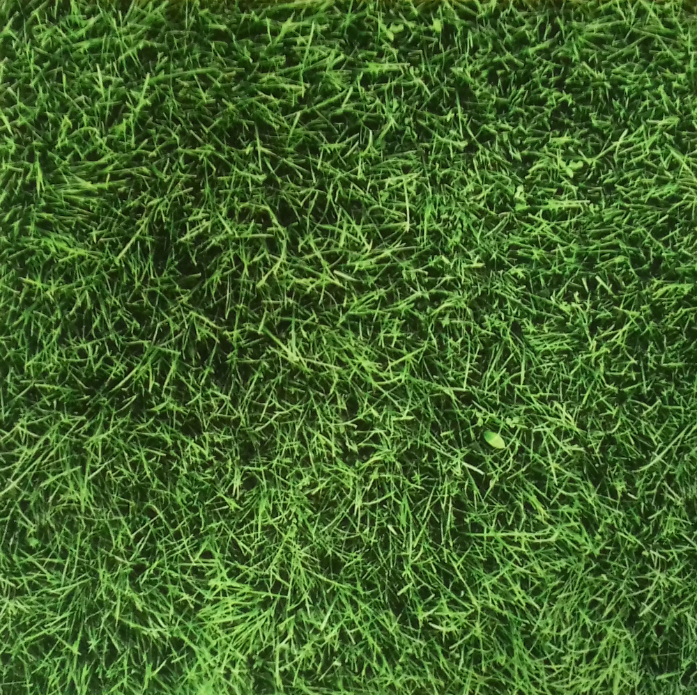 Микровелюр Xpoint (Икспоинт) 0053.01 Сочная трава