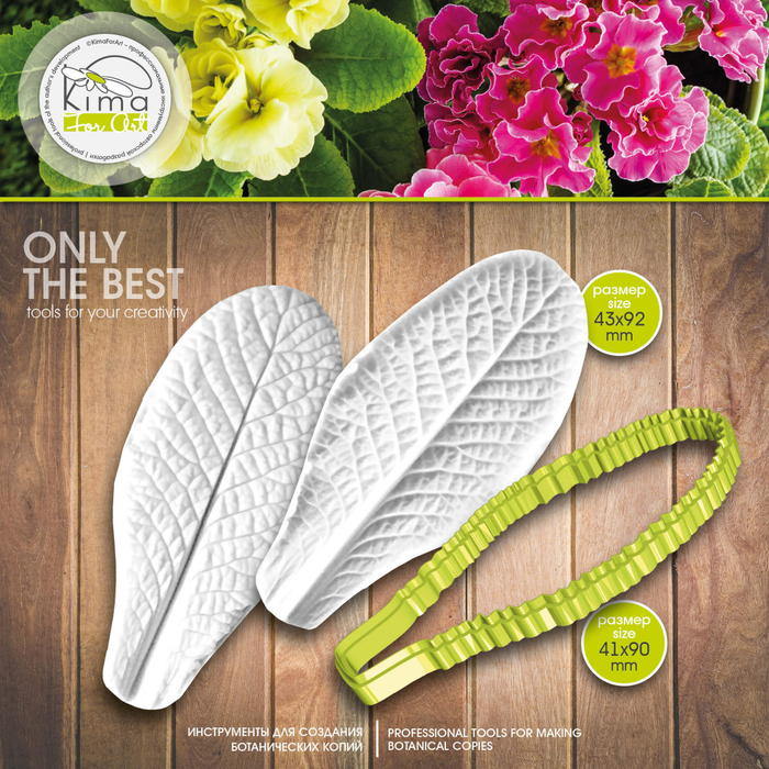 Примула лист большой