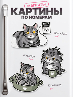 Котики