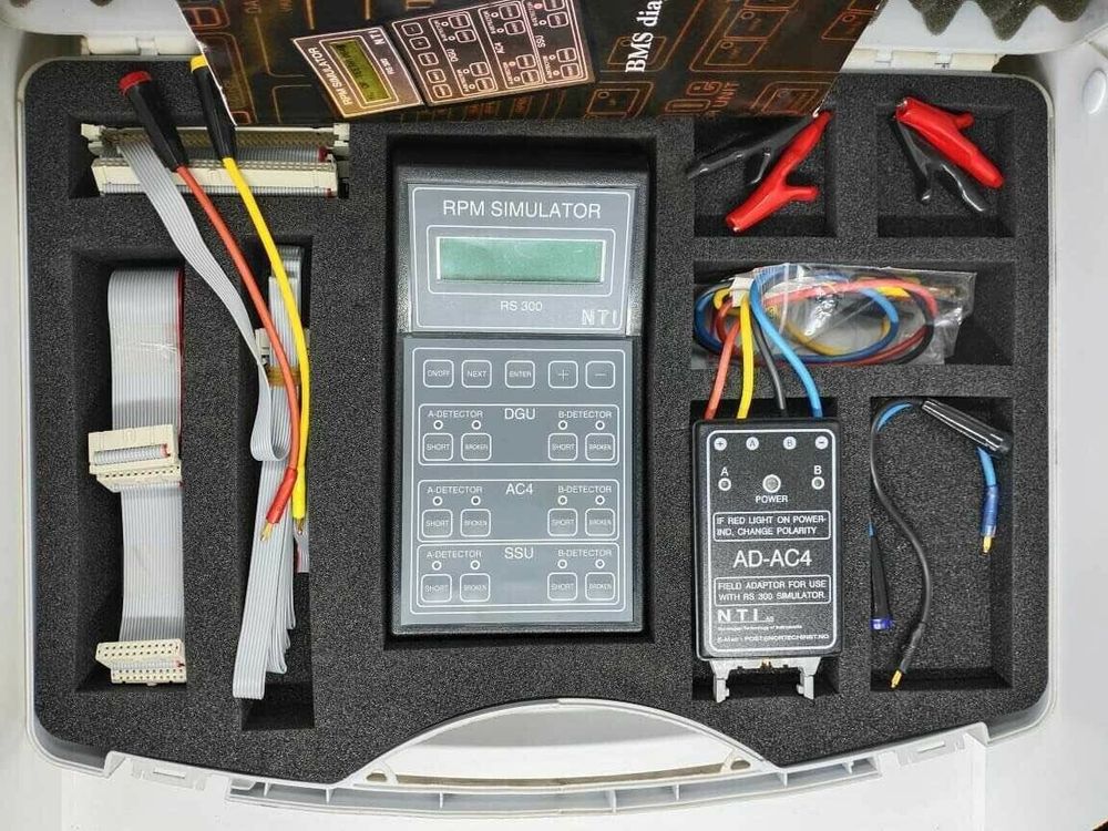 RS 300