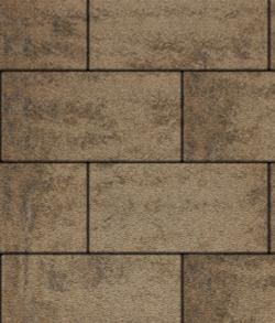 Тротуарная плитка ВЫБОР, форма Прямоугольник 600*300, h=60мм