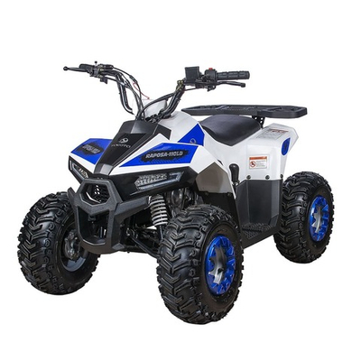 Квадроцикл YACOTA Raposa