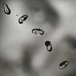 Peter Gabriel / Up (3LP)