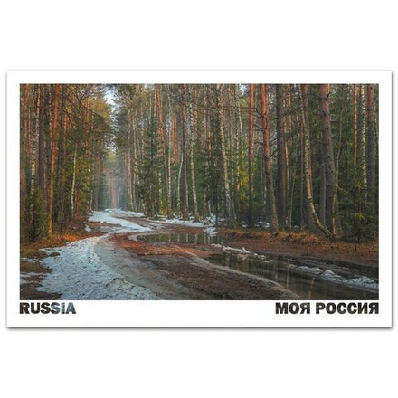 Радости межсезонья, Владимирская область