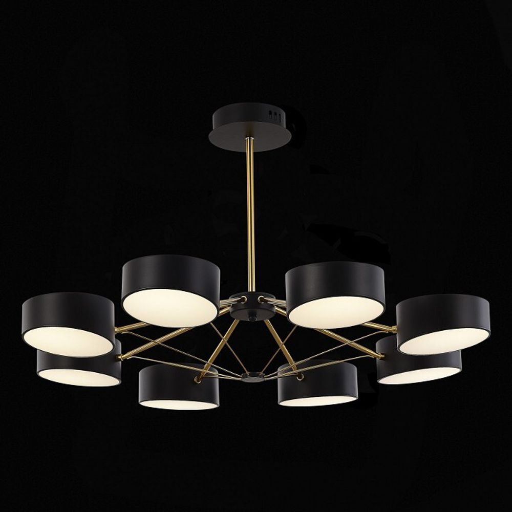 Люстра на штанге EVOLUCE Valle SLE6005-402-08