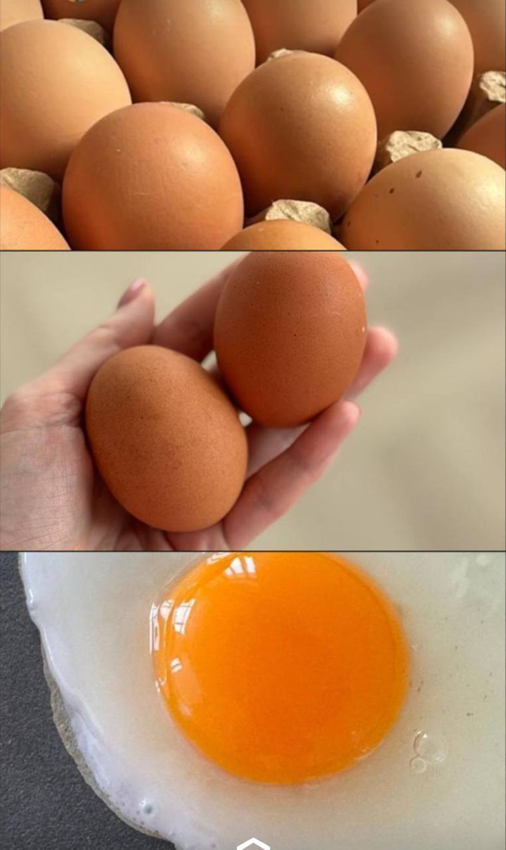 Яйца деревенские 10 шт