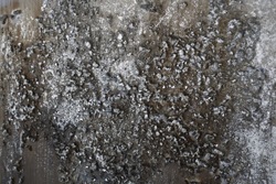 Картина 30х60см Tomas Stern 85039