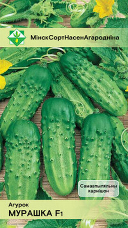 Огурец "Мурашка F1" 7шт, Россия.