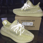 Adidas Yeezy Boost 350 V2 Antlia Reflective All