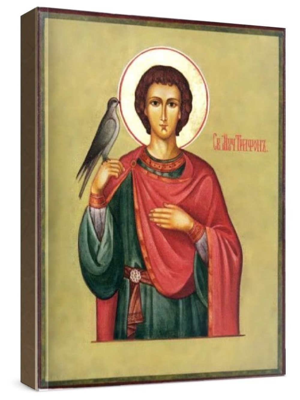 Трифон Апамейский (рукописная икона)