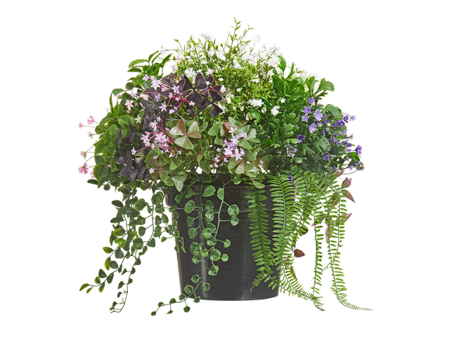 Дизайнерские композиции