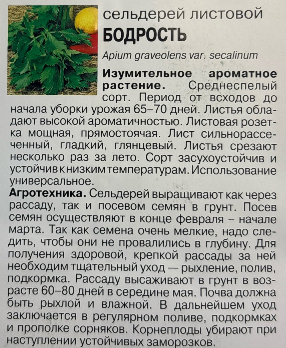 Сельдерей листовой Бодрость 0,5 г СМЗ-275