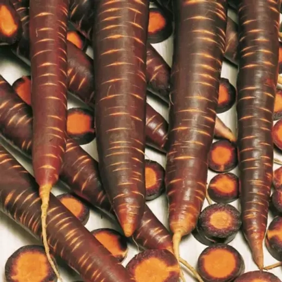 ПЁРПЛ ХЕЙЗ F1 семена моркови цветной Bejo отзывы – фото 3