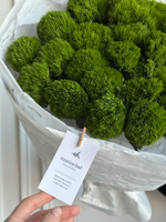 Моно букет из диантусов сорта Грин трик 25 шт