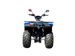 Квадроцикл IRBIS ATV200 LUX 2024