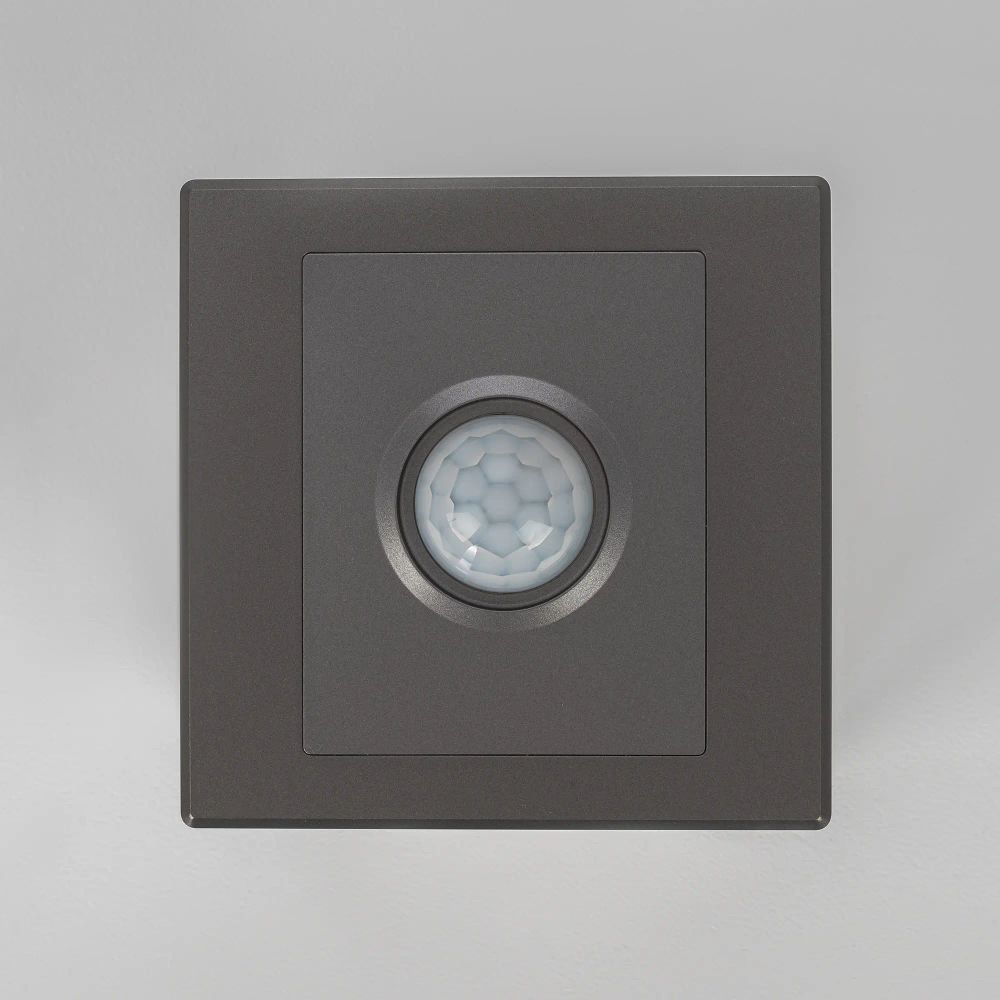 Citilux Скалли CLR005KS1 Встраиваемое реле с датчиком движения Графит