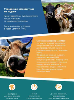 Анализатор CentriVet GK для определения глюкозы и кетонов в крови