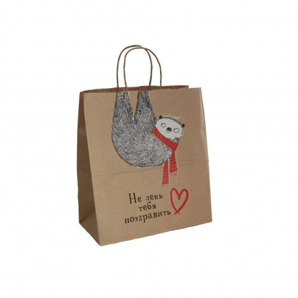 Пакет подар. бумажн. 25*22*12 см, 80 гр/м2 Не лень тебя поздравить, крученые ручки