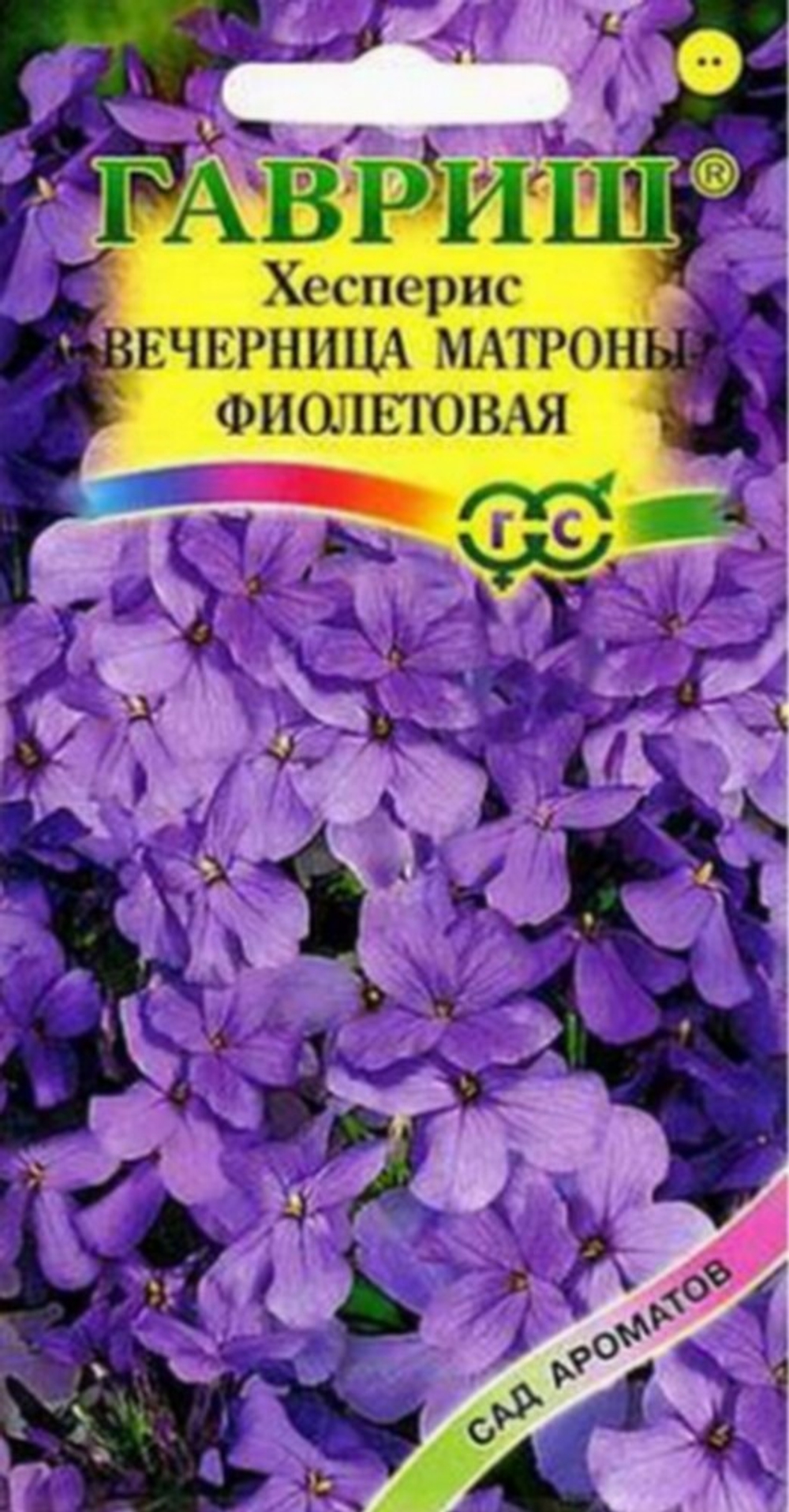 hesperis-nochnaya-fialka-vechernica-matrony-fioletovaya-gavrish