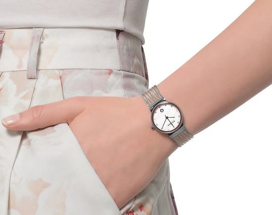 Женские часы Skagen 355SSGS