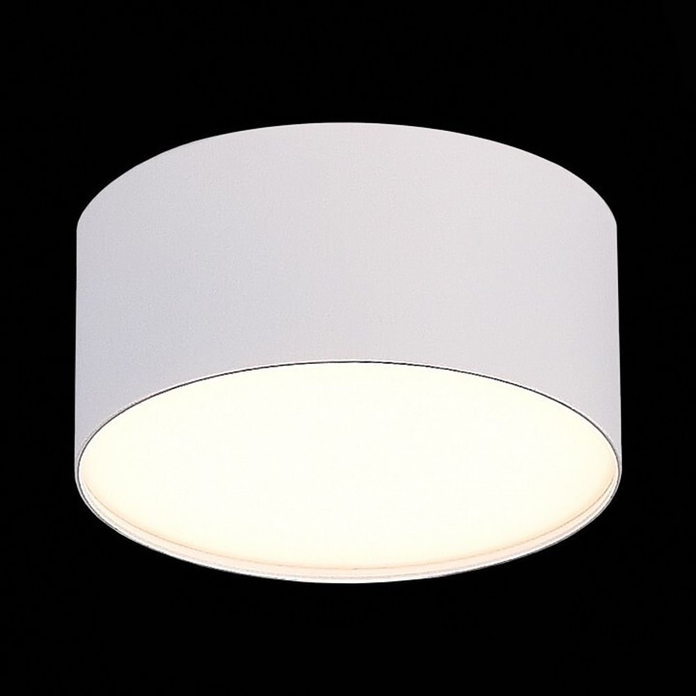 Накладной светильник ST-Luce ST606 ST606.532.12