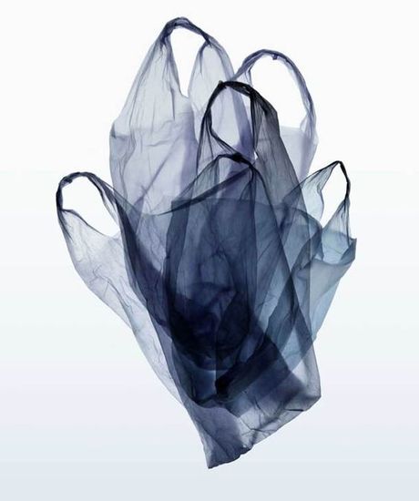 Почему биоразлагаемый пакет никогда не разложится?