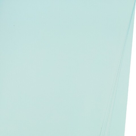 Пленка ЛИСТ "Шарм" 56x55см (20шт) Светло-голубой
