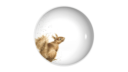 Тарелка для пасты 22см Royal Worcester Забавная фауна Белка