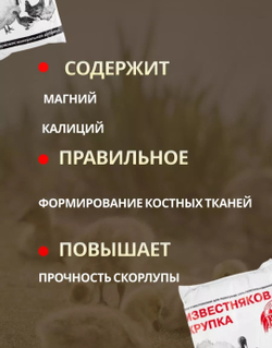 Известняковая крупка для птиц и грызунов, 1 кг