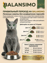 Сухой корм для стерилизованных кошек и кастрированных котов холистик Balansimo Holistic Sterilized Adult Cat индейка с ягодами 2кг