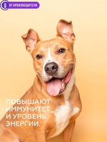 cda52a18d71a0981a13799d074368e90