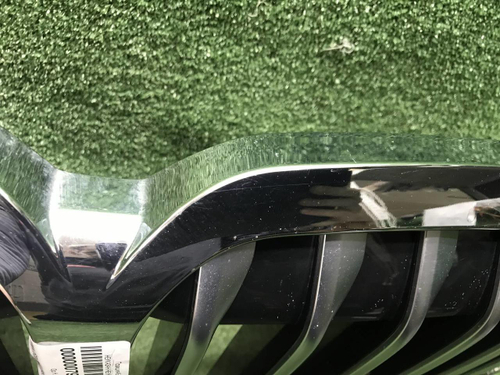 Решетка радиатора BMW X7 G07 (2019-2022)
