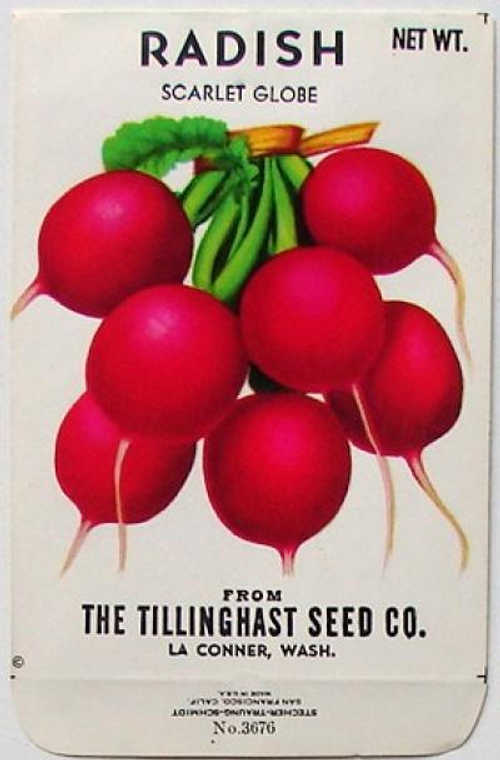 Редис Ранний Красный - Early Scarlet