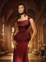 Расшитый корсет с силуэтной юбкой