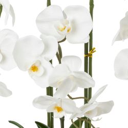 GAEM Цветочная композиция, L W H50 см