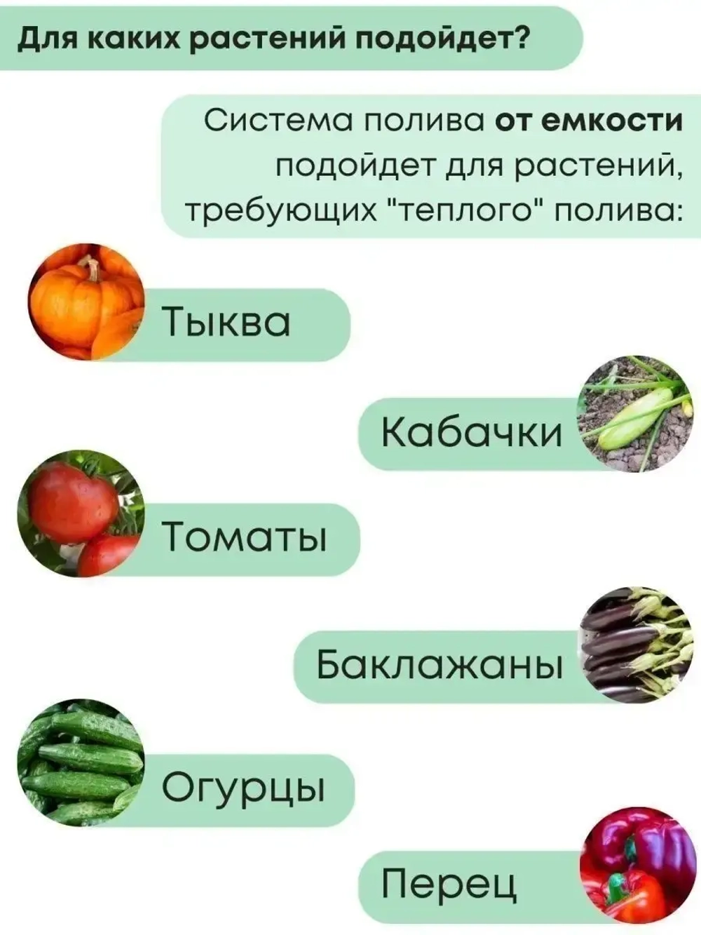 Капельный полив 60 растений от ёмкости с таймером