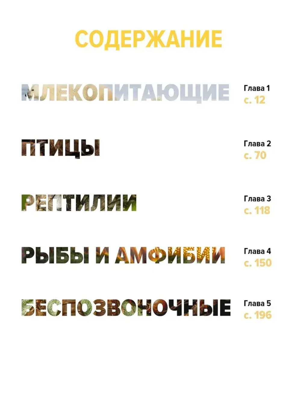 Тайны животных. Большая иллюстрированная энциклопедия
