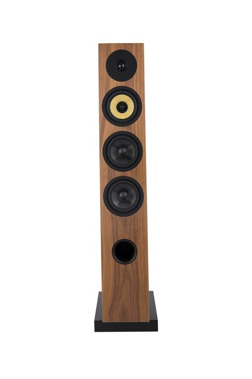 Напольная акустика Davis Acoustics Courbet 5