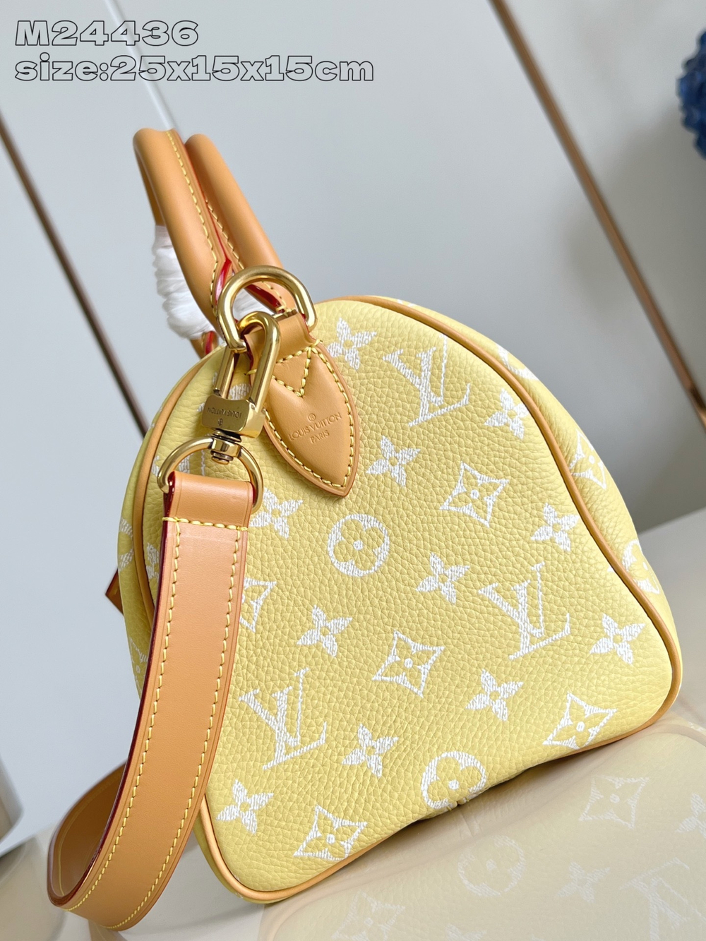 Louis Vuitton Speedy P9 Bandouliere 25