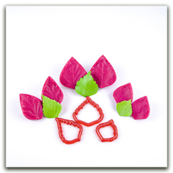 Листья берёзы