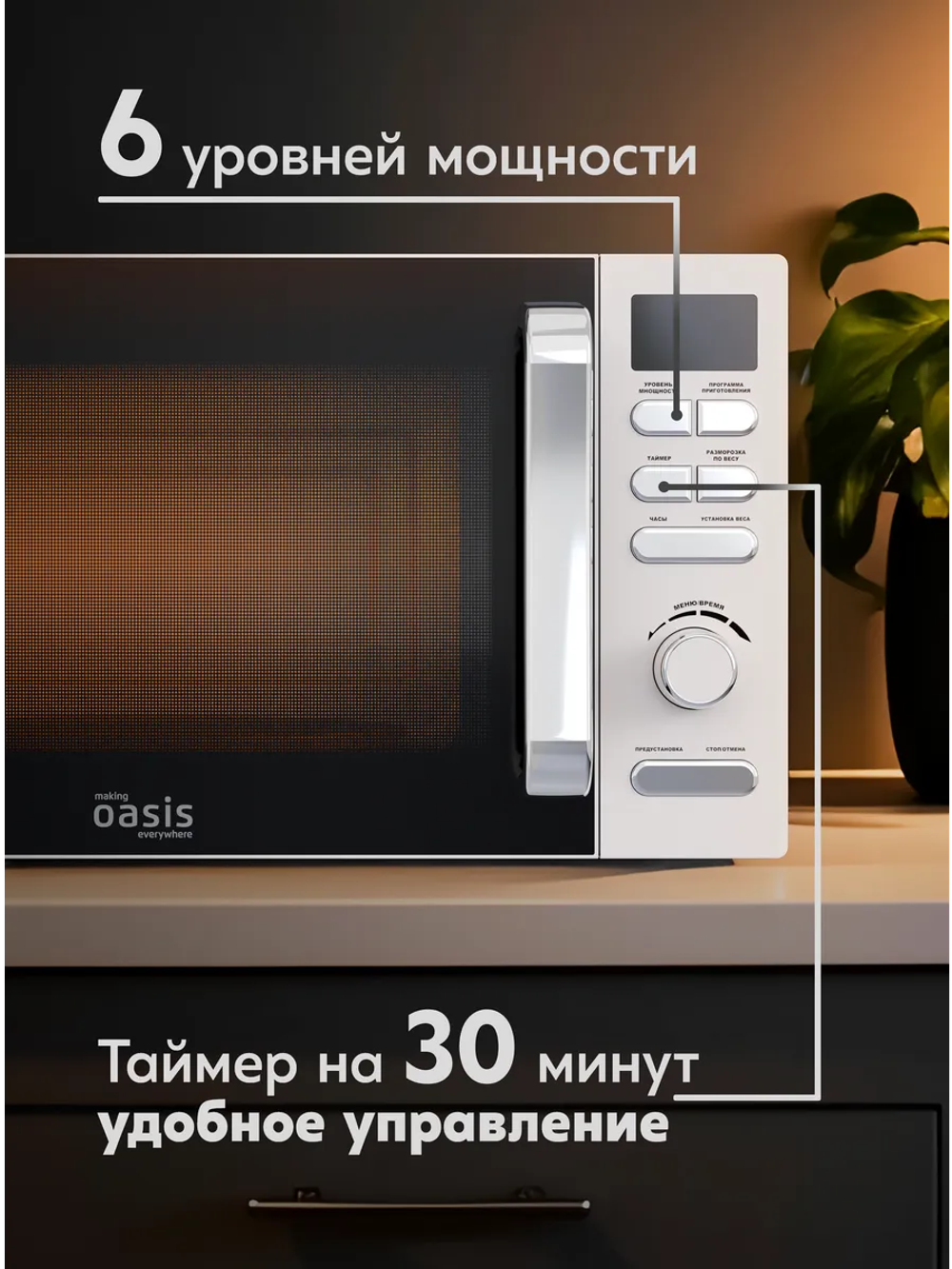 Микроволновая печь OASIS MW-80EI