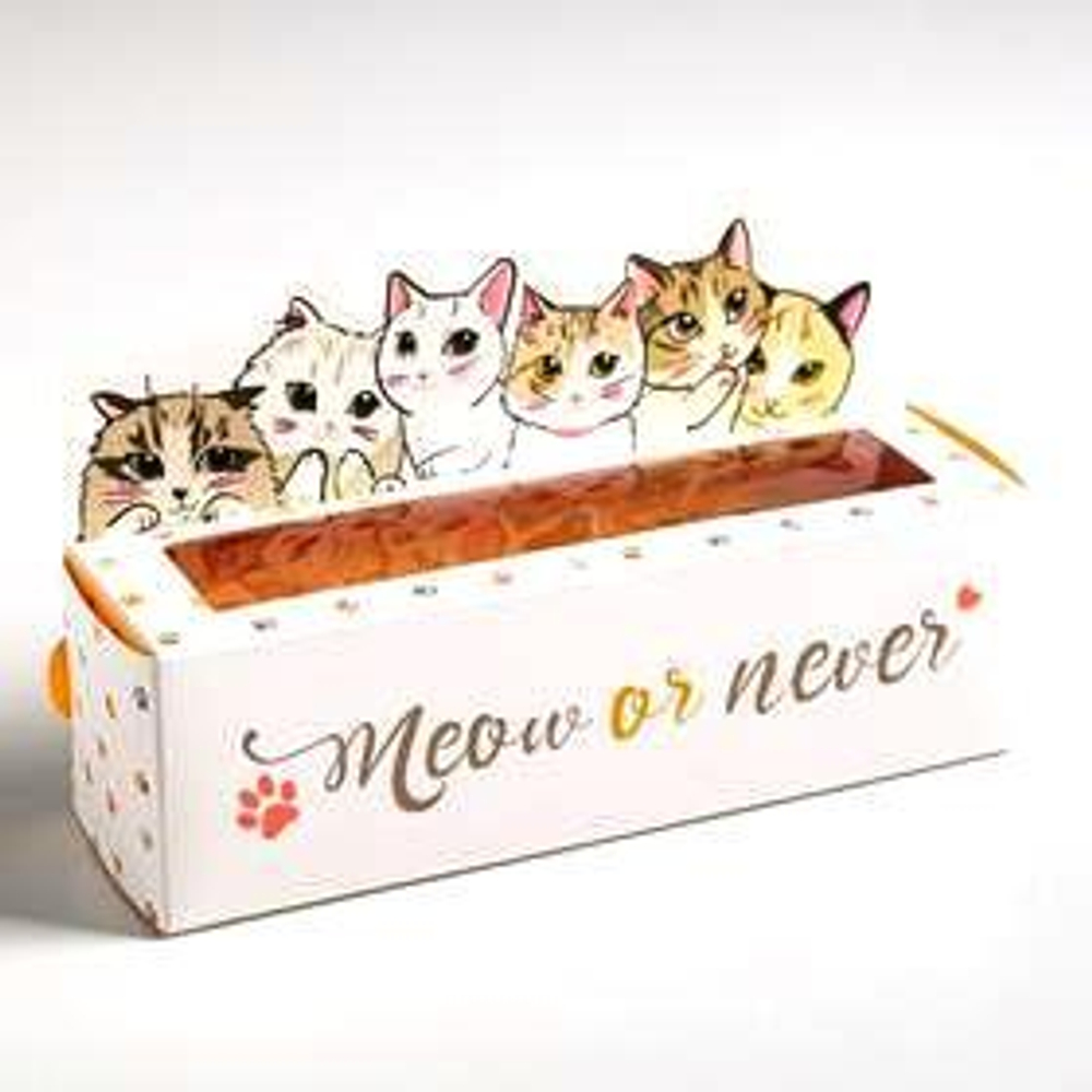 Коробочка на 6 макаронс «Meow or never», 18 х 5,5 х 5,5 см