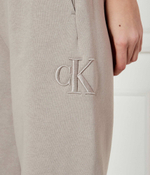 Спортивные штаны Calvin Klein Jeans - бежевый(J20J224841)