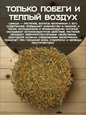 Шикша (побеги)