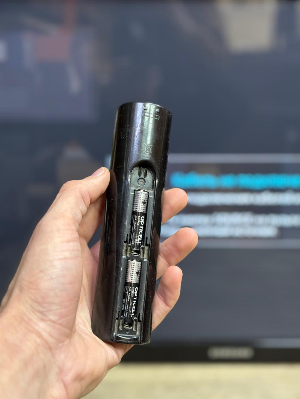 Телевизор Samsung PS43E450A1W