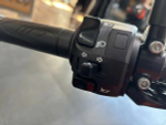 HARLEY-DAVIDSON X™ 500 2024 с НДС